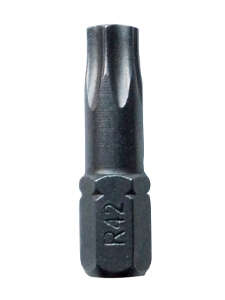 Image du produit EMBOUT VISSAGE FORGE TORX 25MM T25 (BT 1)