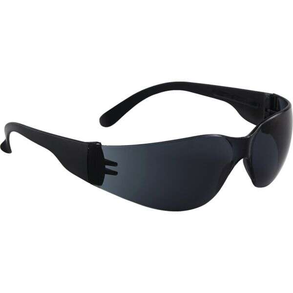 Image du produit LUNETTE POLYCARBONATE FUMEE EVASUN