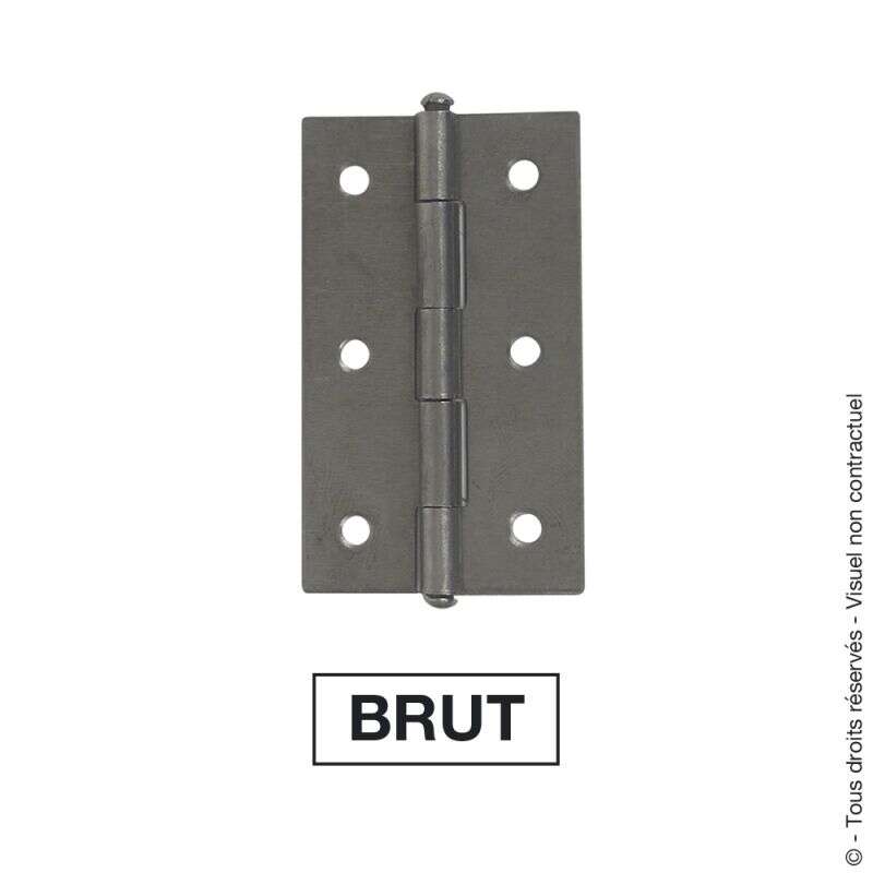 Image du produit CHARNIERE 70X40 MM BRUT