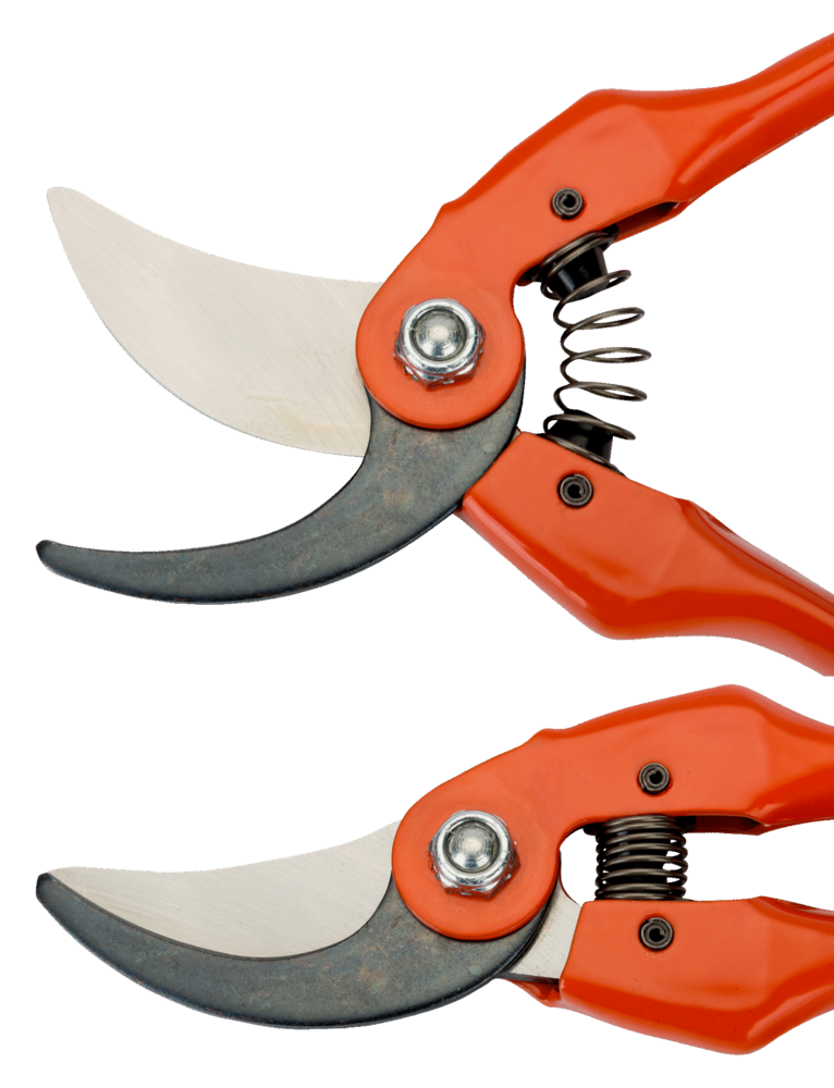 Image du produit SECATEUR A 1 MAIN ROUGE 19 CM MP SANDVIK
