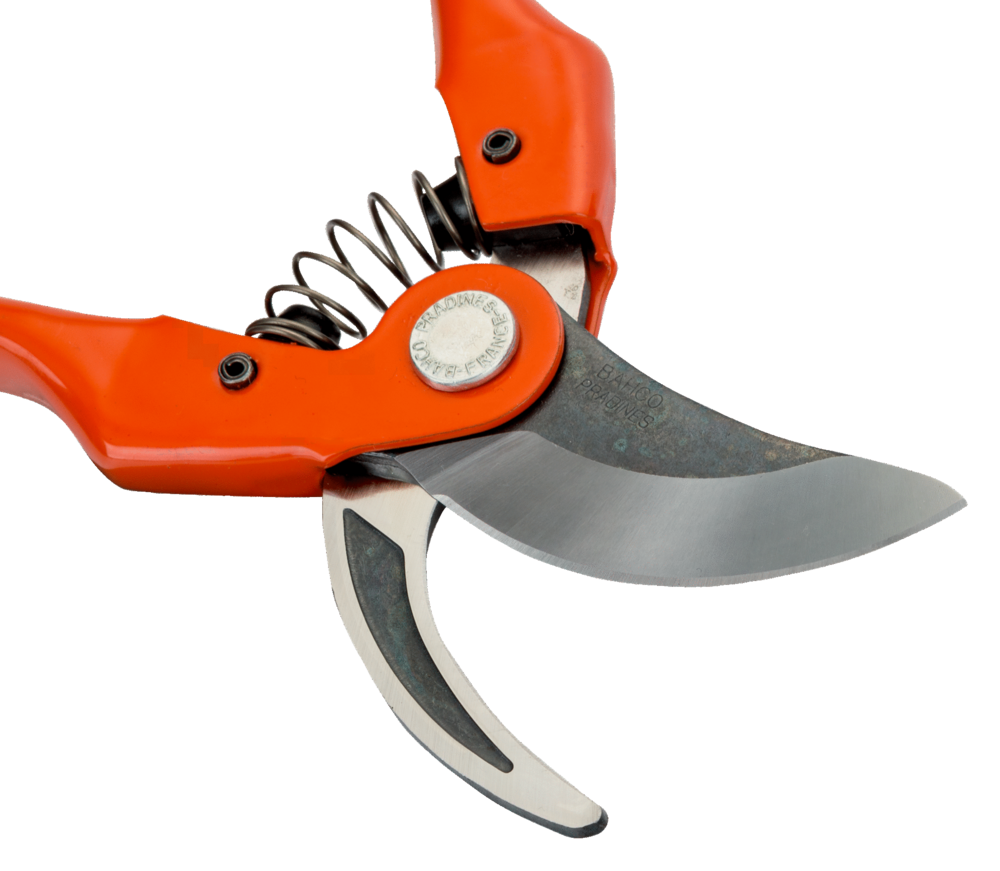 Image du produit SECATEUR A 1 MAIN ROUGE 19 CM MP SANDVIK
