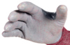 Image du produit GANTS ANTI COUPURE EVOTRIO