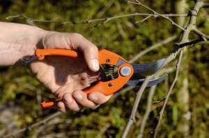 Image produit SECATEUR A 1 MAIN ROUGE 19 CM MP SANDVIK